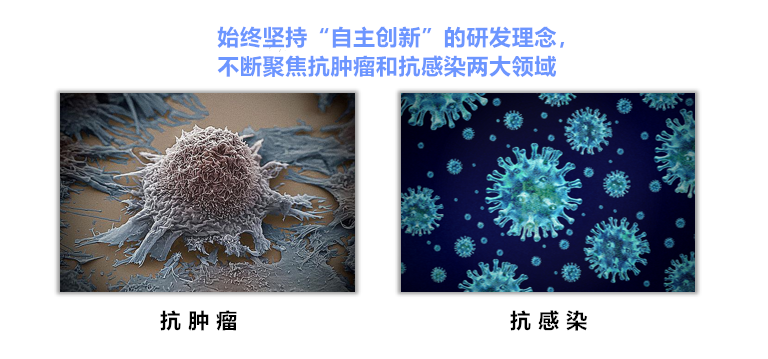 202302研發領域圖_副本.png